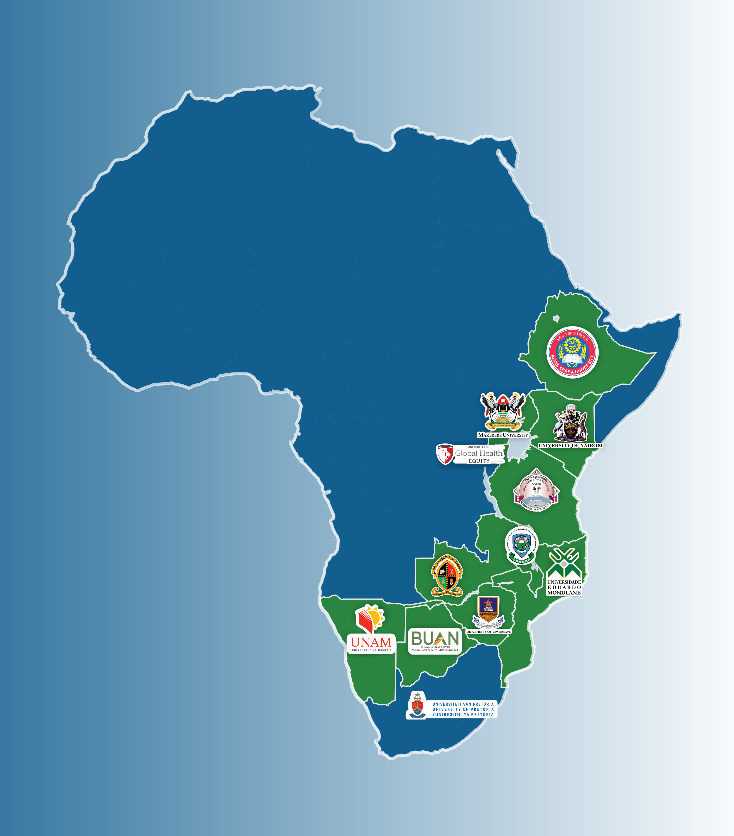 COHESA’s One Health Observatory: A one stop shop on One Health activities in 12 countries in Africa
