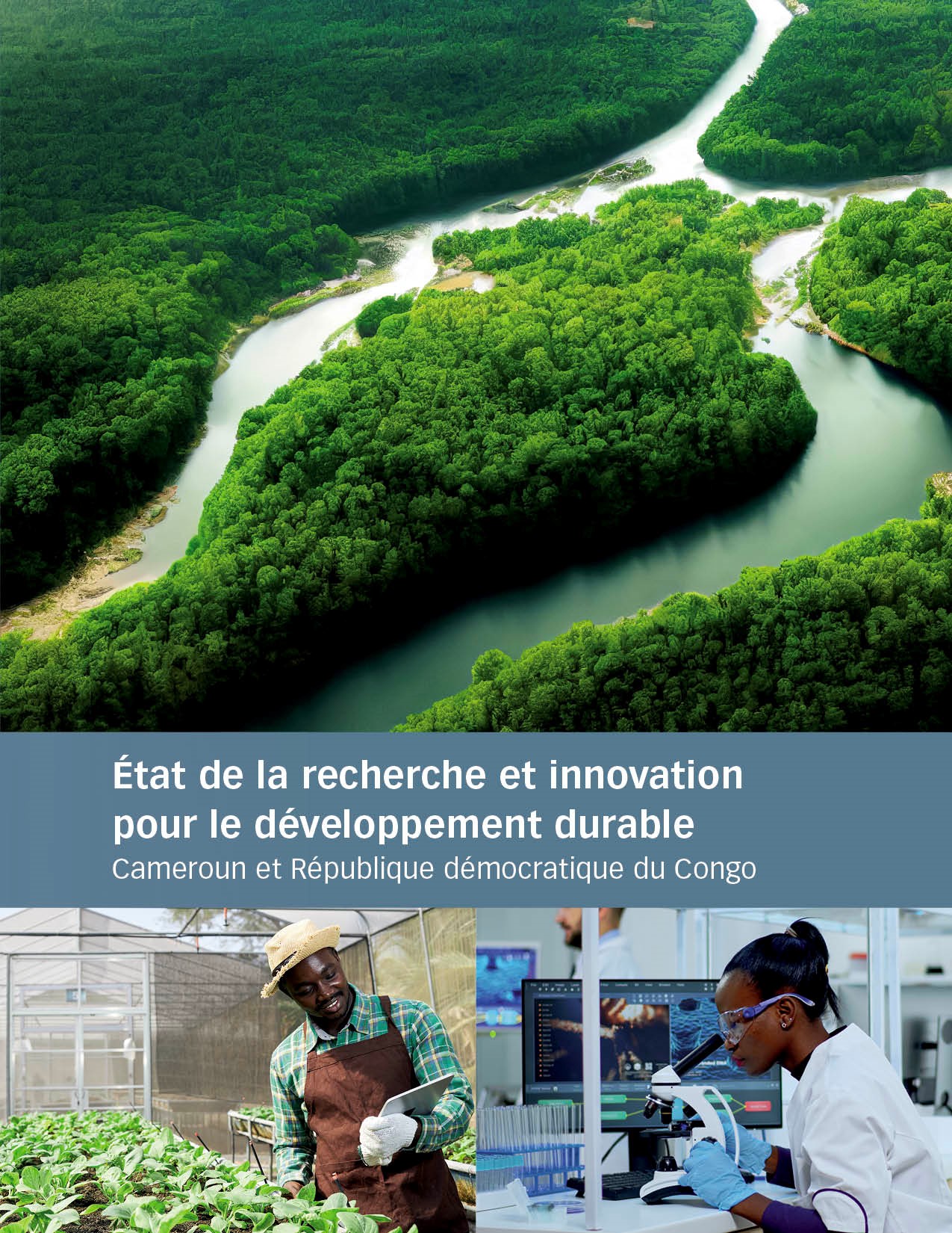 PDTIE – État de la recherche et innovation pour le développement durable: Cameroun et République démocratique du Congo