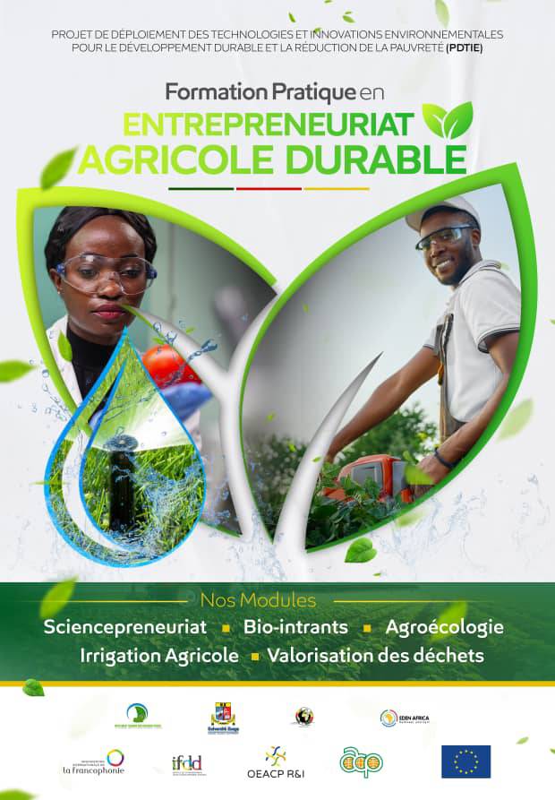 PDTIE- Une quarantaine de jeunes du Cameroun, du Gabon et du Tchad formés en entrepreneuriat durable agricole