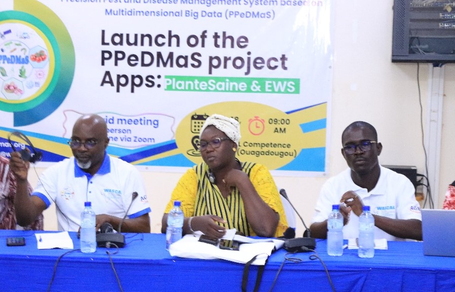 Lancement des applications du projet PPeDMaS