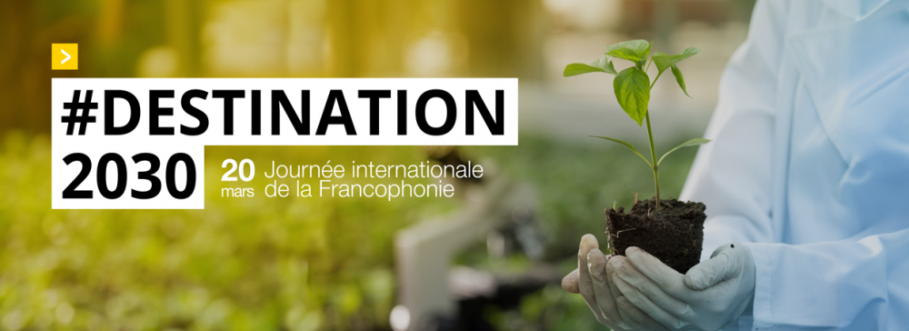 Francophonie, a nurturing ground for inclusive innovation