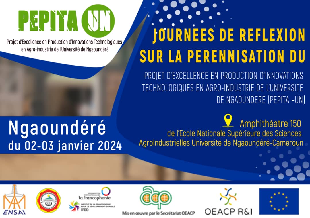 Reflection days on the sustainability of the PEPITA-UN project